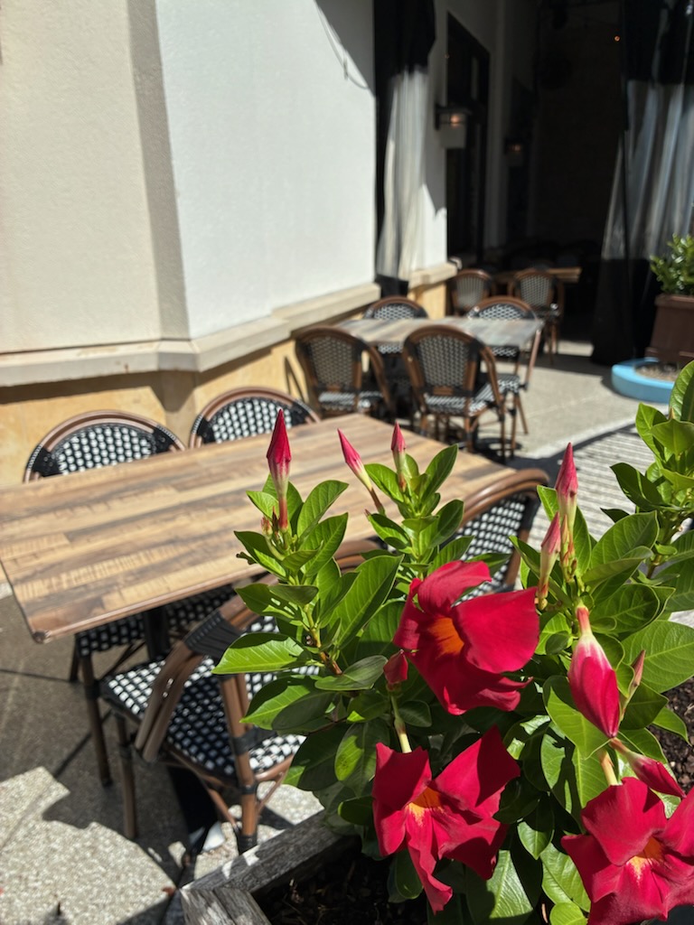 Patio seating framed by red mandevilla blooms